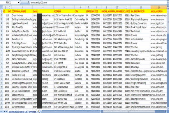USA Business Database Email Lists