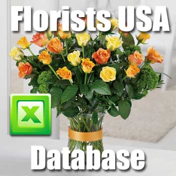 A bouquet of yellow and orange roses in a vase with green foliage. Text reads "Florist / Plant Nursery Database USA" next to a Microsoft Excel logo depicted near the bouquet.